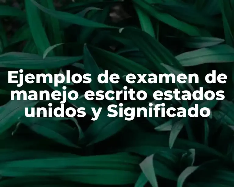 Ejemplos de examen de manejo escrito estados unidos y Significado