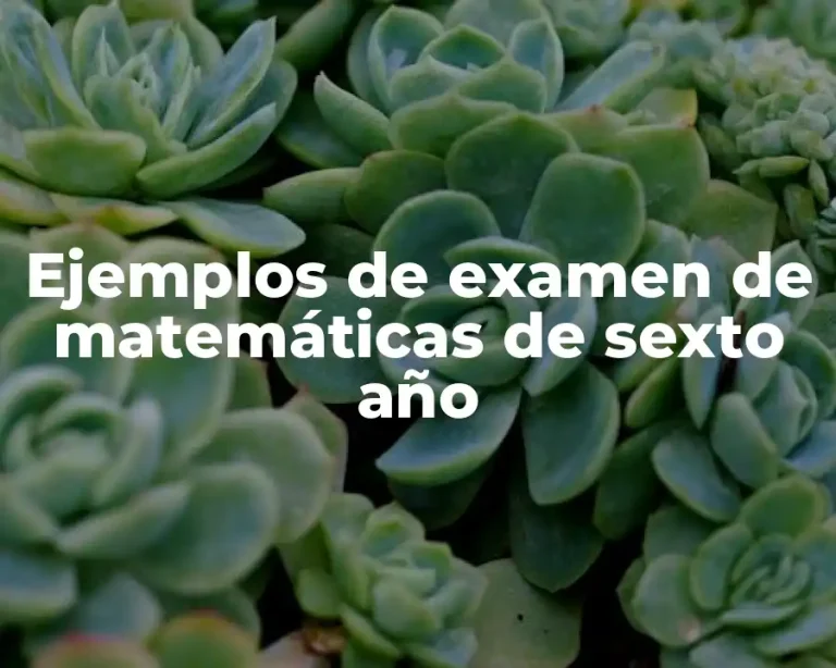 Ejemplos de examen de matemáticas de sexto año