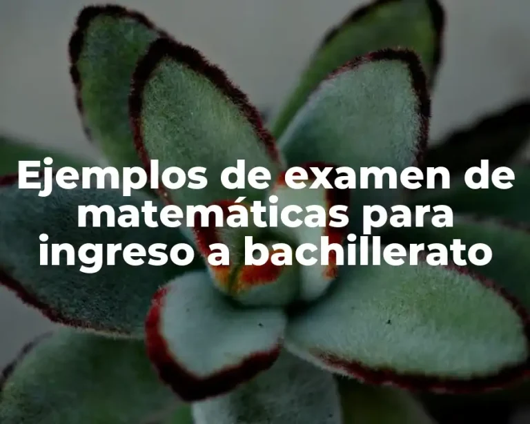 Ejemplos de examen de matemáticas para ingreso a bachillerato