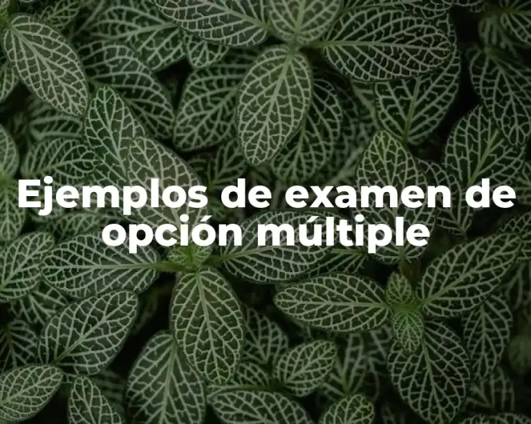 Ejemplos de examen de opción múltiple