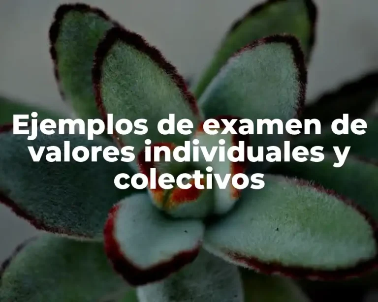 Ejemplos de examen de valores individuales y colectivos