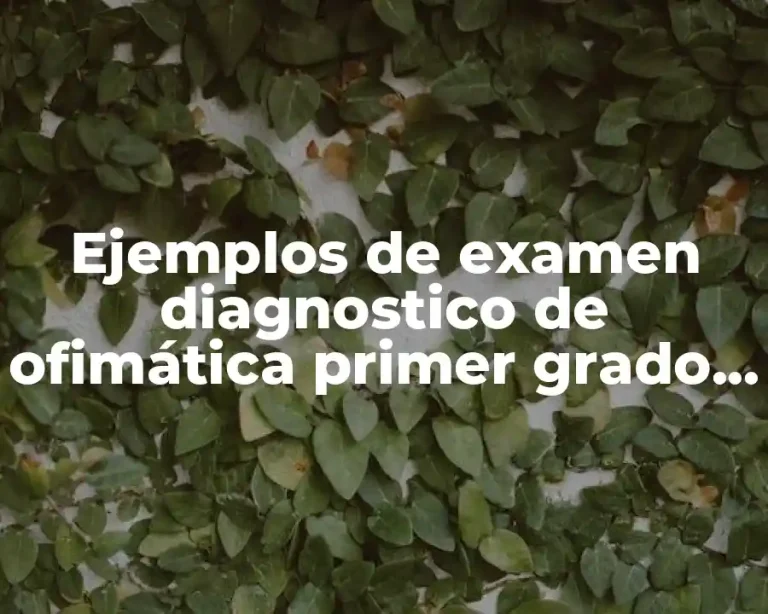 Ejemplos de examen diagnostico de ofimática primer grado secundaria y Significado