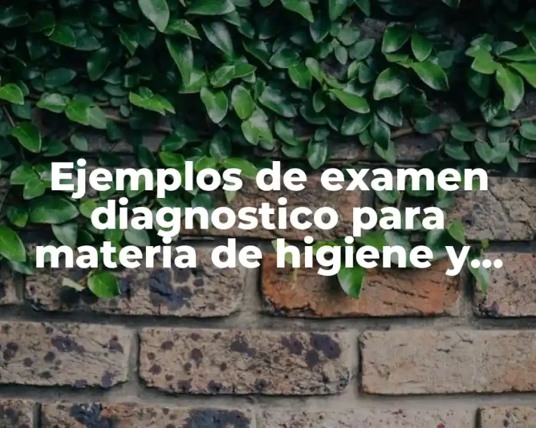 Ejemplos de examen diagnostico para materia de higiene y seguridad