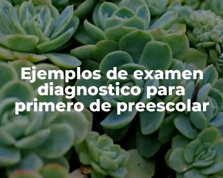 Ejemplos de examen diagnostico para primero de preescolar