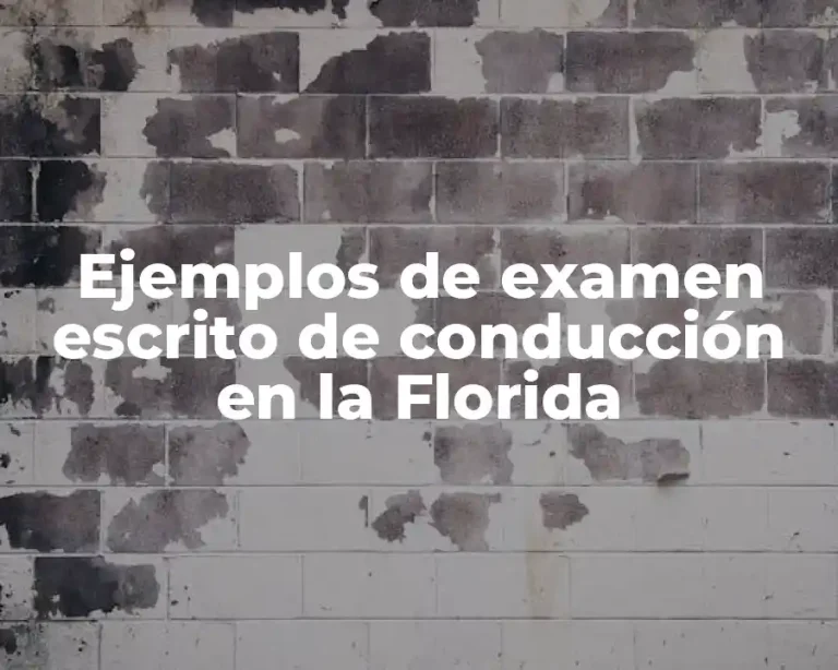 Ejemplos de examen escrito de conducción en la Florida