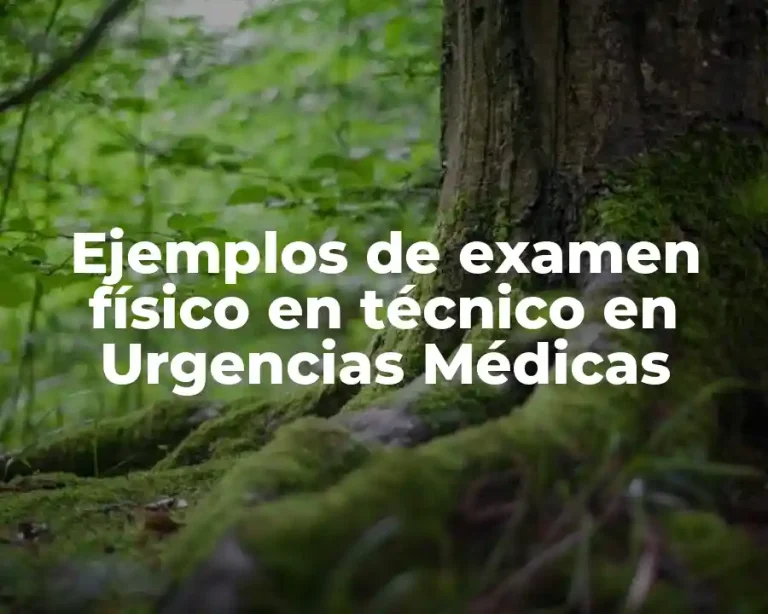 Ejemplos de examen físico en técnico en Urgencias Médicas