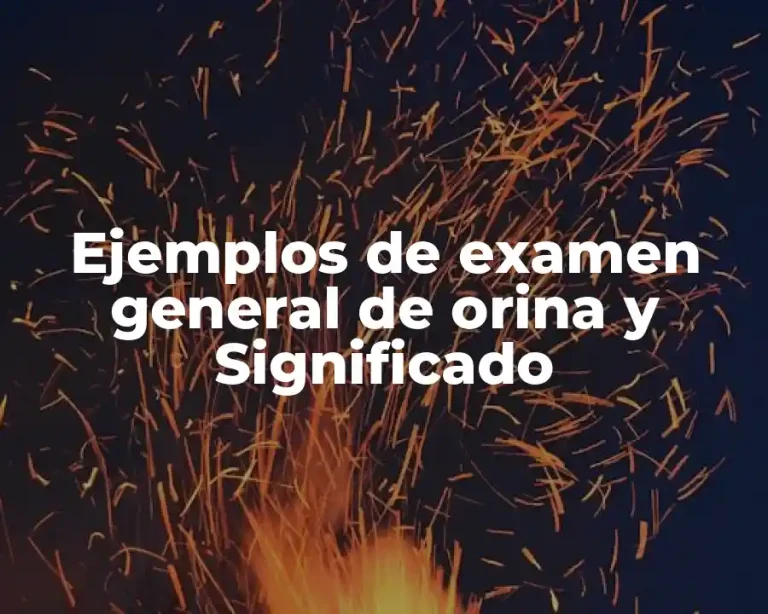 Ejemplos de examen general de orina y Significado