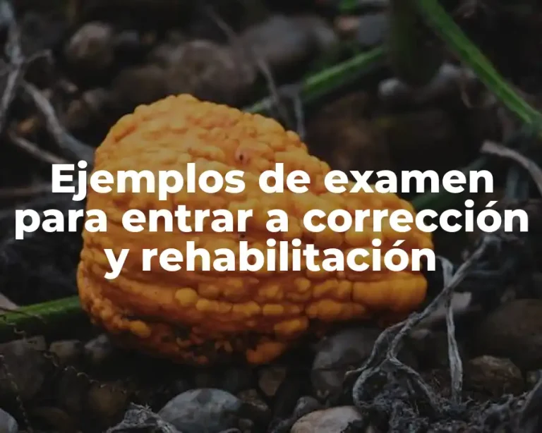 Ejemplos de examen para entrar a corrección y rehabilitación