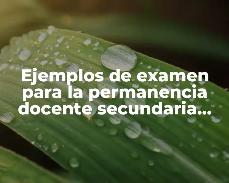 Ejemplos de examen para la permanencia docente secundaria FCYE