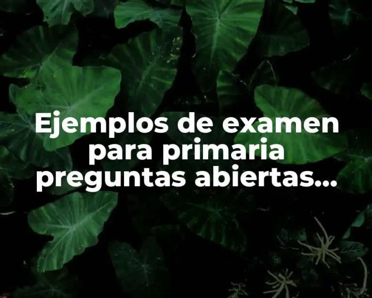 Ejemplos de examen para primaria preguntas abiertas sexto grado