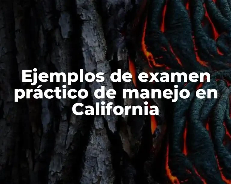 Ejemplos de examen práctico de manejo en California
