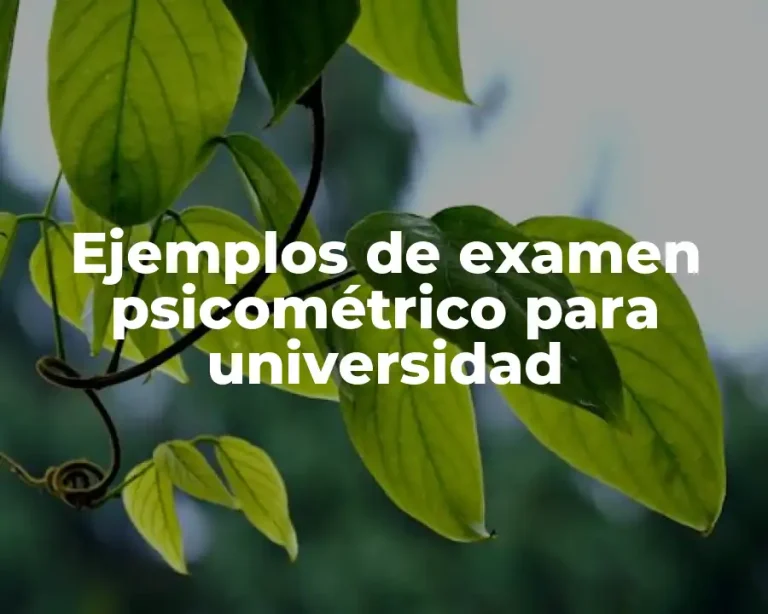 Ejemplos de examen psicométrico para universidad