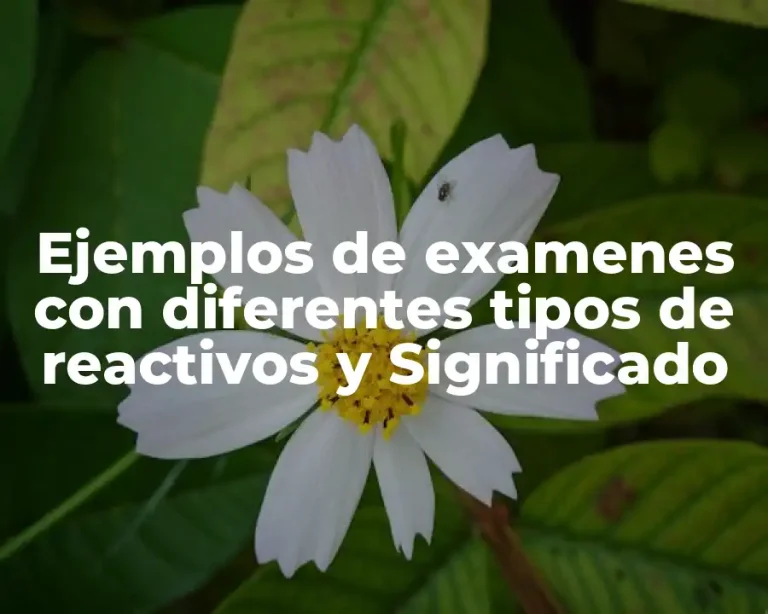 Ejemplos de examenes con diferentes tipos de reactivos y Significado