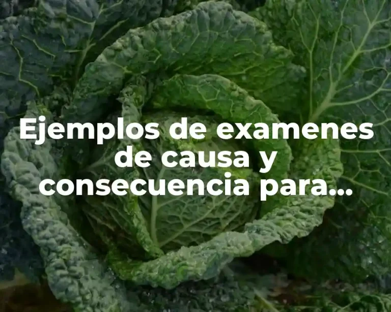 Ejemplos de examenes de causa y consecuencia para niños