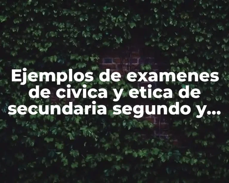 Ejemplos de examenes de civica y etica de secundaria segundo y Significado