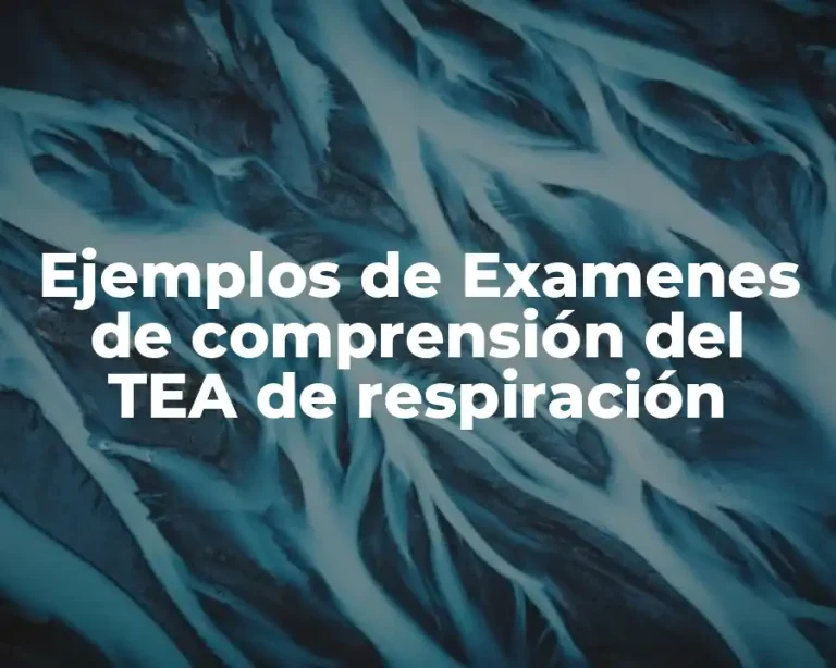Ejemplos de Examenes de comprensión del TEA de respiración