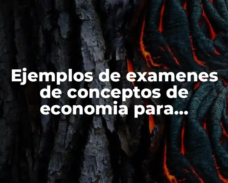 Ejemplos de examenes de conceptos de economia para bachillerato