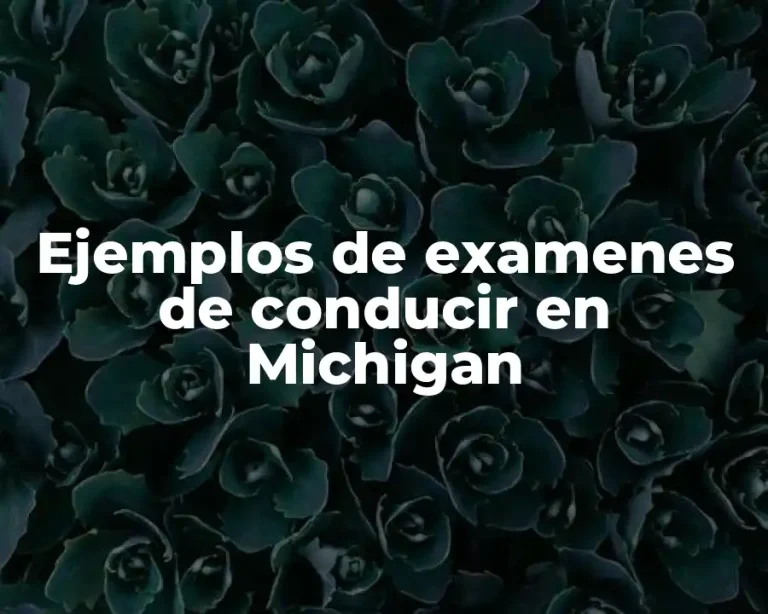 Ejemplos de examenes de conducir en Michigan