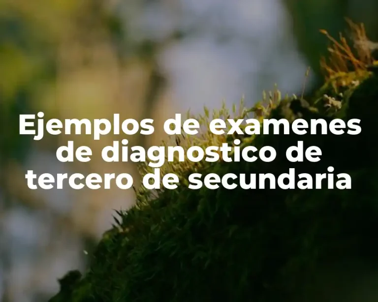 Ejemplos de examenes de diagnostico de tercero de secundaria