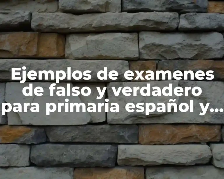 Ejemplos de examenes de falso y verdadero para primaria español y Significado
