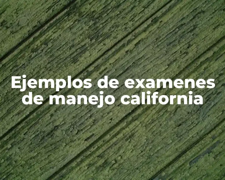 Ejemplos de examenes de manejo california