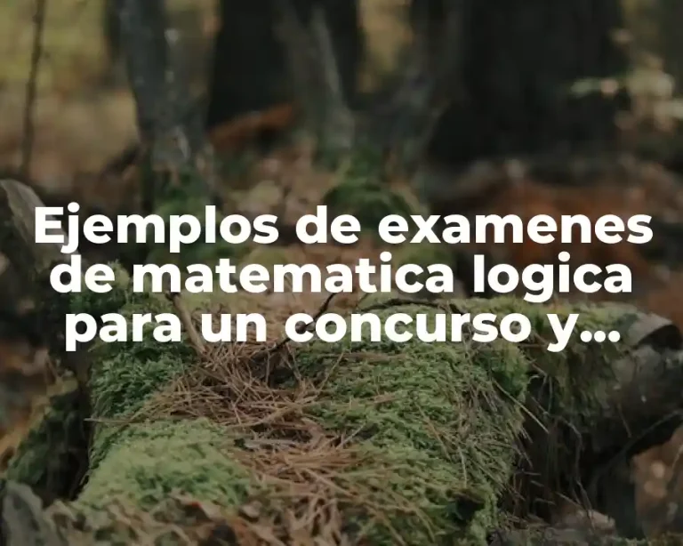 Ejemplos de examenes de matematica logica para un concurso y Significado