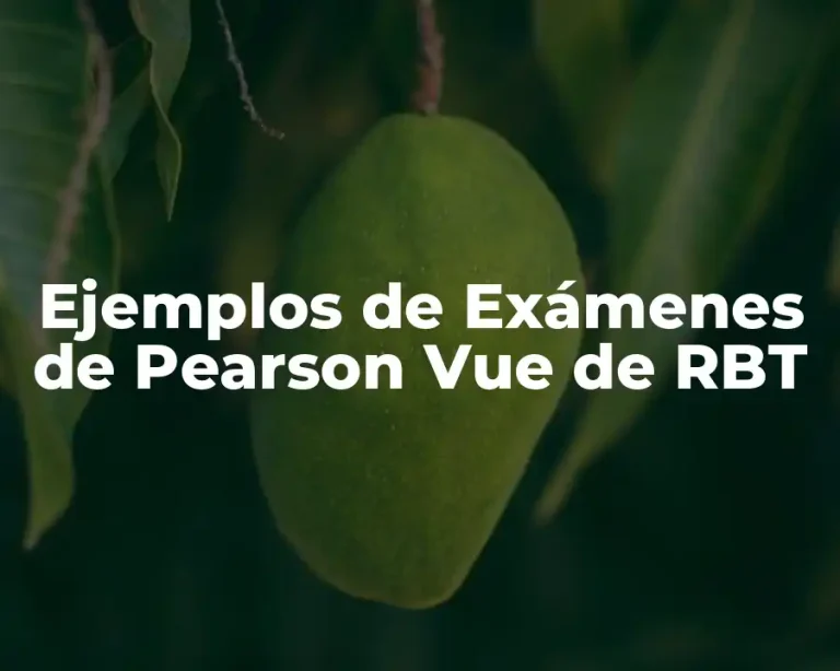 Ejemplos de Exámenes de Pearson Vue de RBT