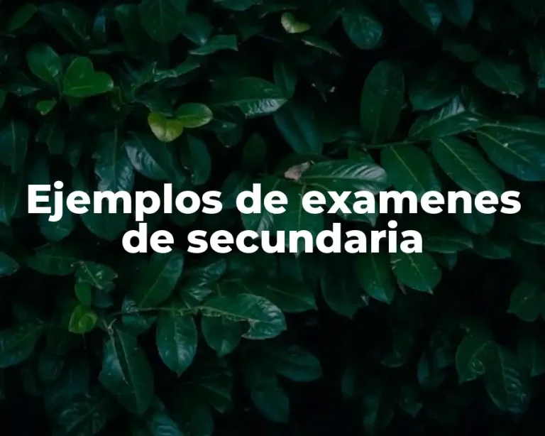 Ejemplos de examenes de secundaria