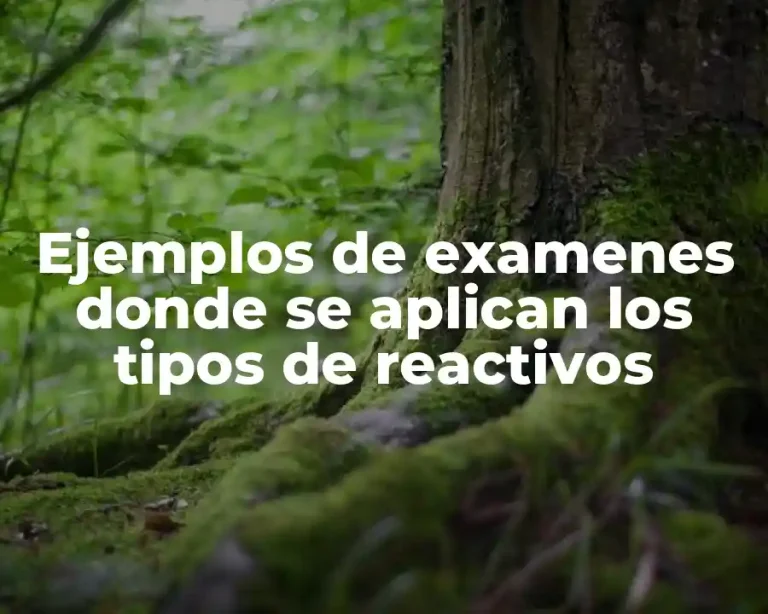 Ejemplos de examenes donde se aplican los tipos de reactivos