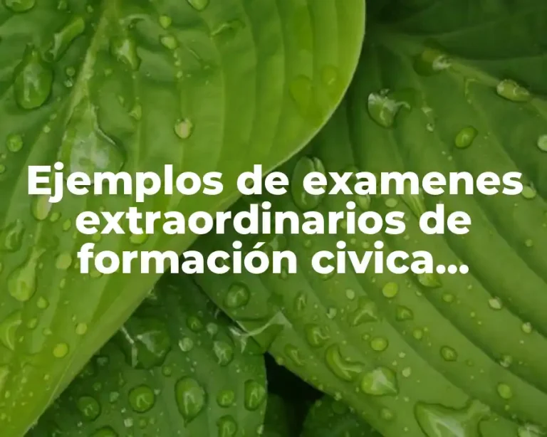 Ejemplos de examenes extraordinarios de formación civica tercero de