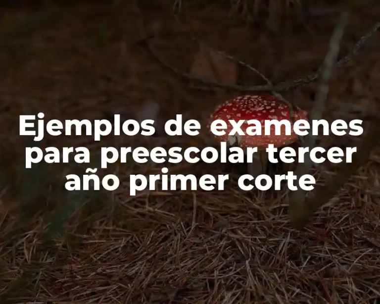 Ejemplos de examenes para preescolar tercer año primer corte