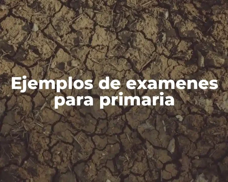 Ejemplos de examenes para primaria