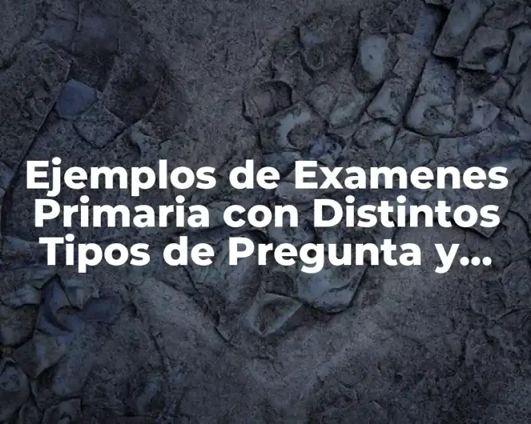 Ejemplos de Examenes Primaria con Distintos Tipos de Pregunta y Significado