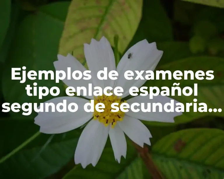 Ejemplos de examenes tipo enlace español segundo de secundaria y Significado