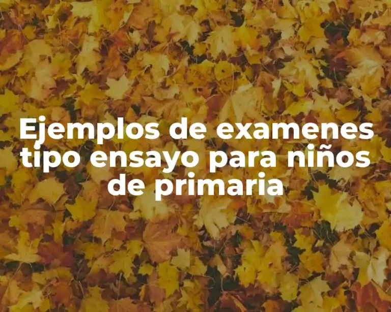 Ejemplos de examenes tipo ensayo para niños de primaria