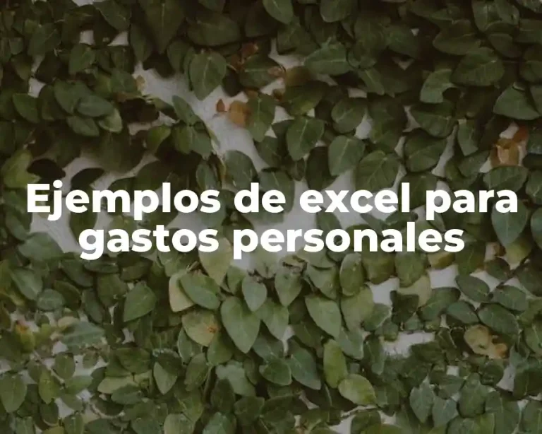 Ejemplos de excel para gastos personales