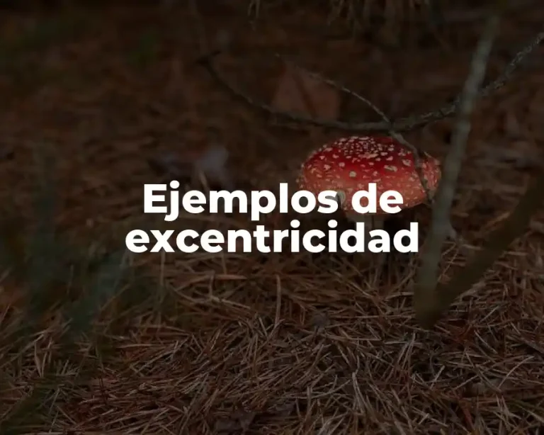 Ejemplos de excentricidad