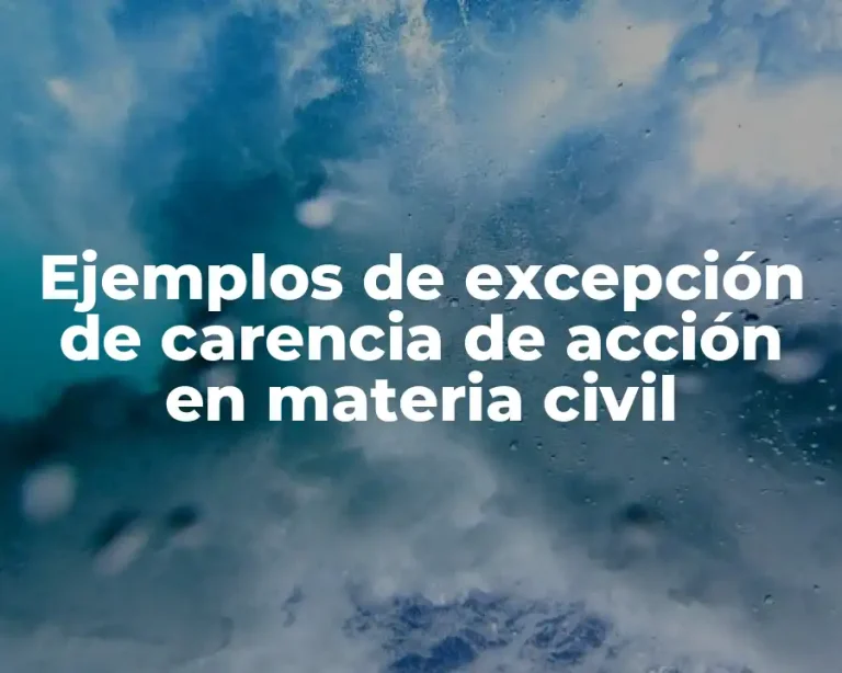 Ejemplos de excepción de carencia de acción en materia civil