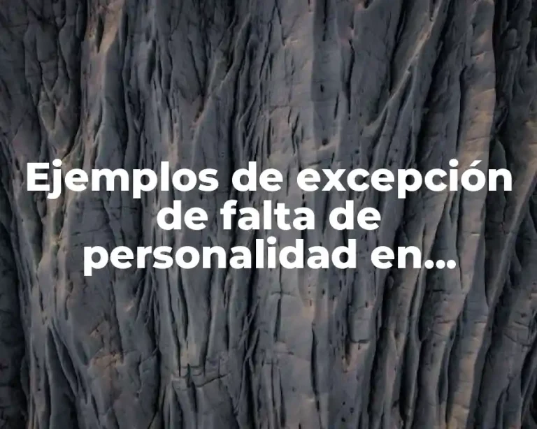 Ejemplos de excepción de falta de personalidad en materia civil