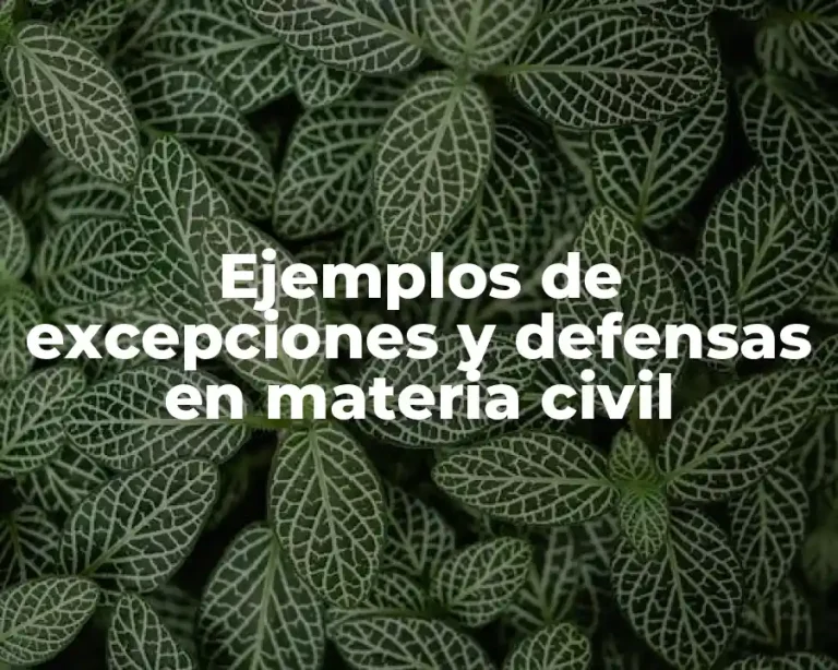 Ejemplos de excepciones y defensas en materia civil