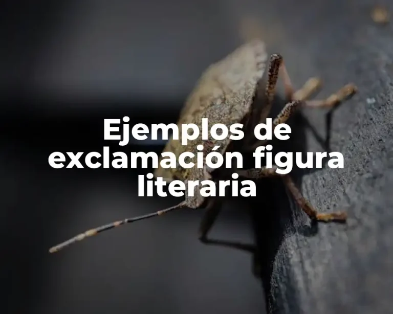 Ejemplos de exclamación figura literaria