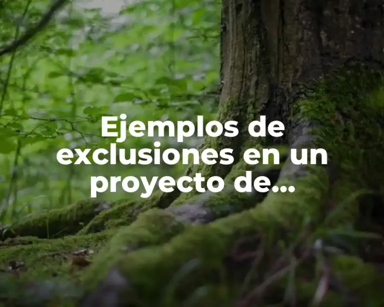 Ejemplos de exclusiones en un proyecto de construcción