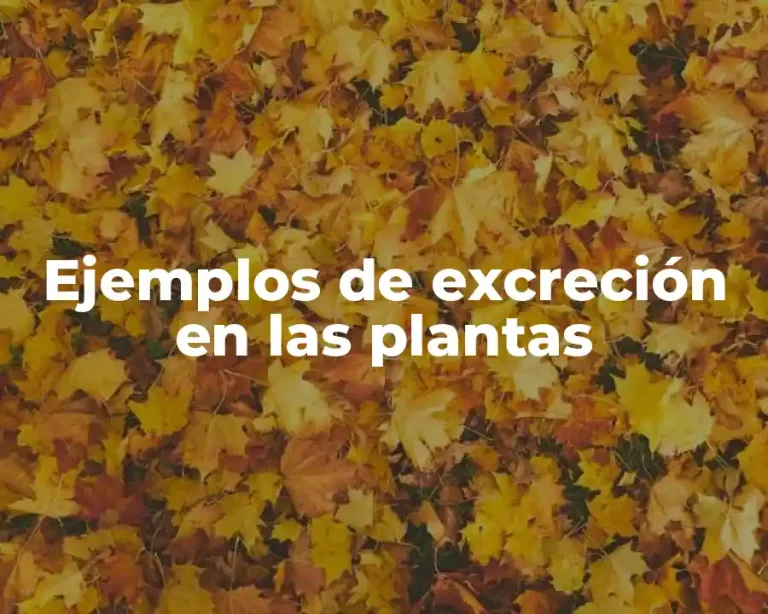 Ejemplos de excreción en las plantas