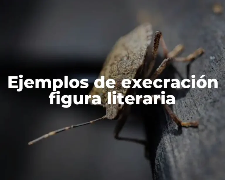 Ejemplos de execración figura literaria