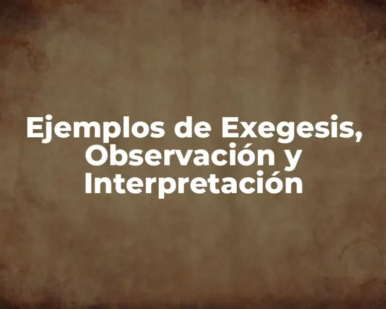 Ejemplos de Exegesis, Observación y Interpretación