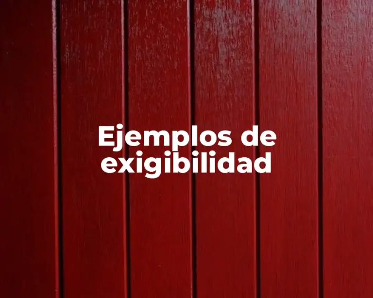 Ejemplos de exigibilidad