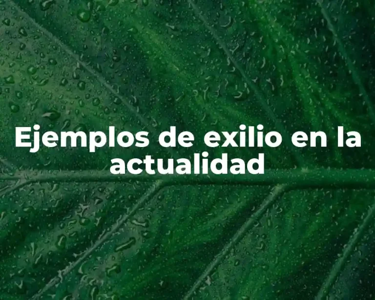 Ejemplos de exilio en la actualidad