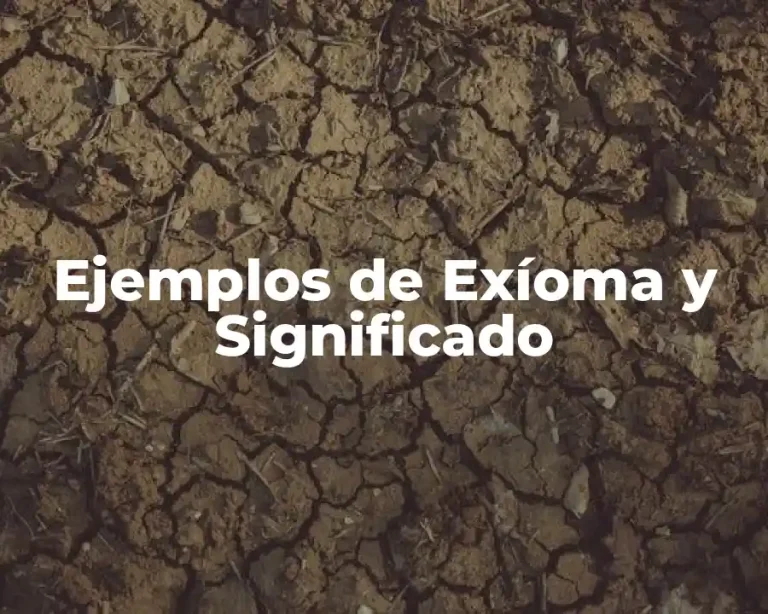 Ejemplos de Exíoma y Significado