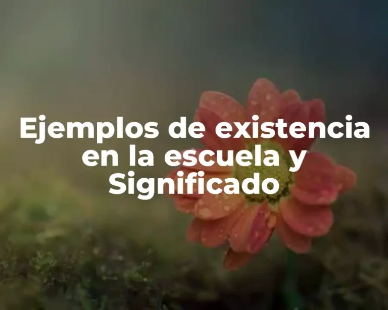Ejemplos de existencia en la escuela y Significado