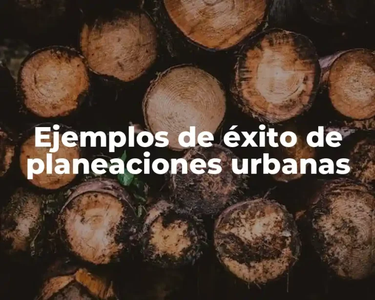 Ejemplos de éxito de planeaciones urbanas